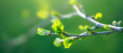 FABRICĂM MAI MULT DECÂT MOBILIER.